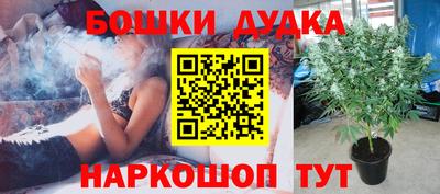 ECSTASY Тулун