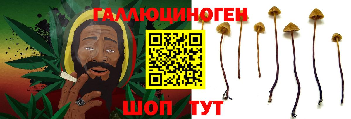 Павлово  Галлюциногенные грибы Psilocybine cubensis  Вход с VPN 